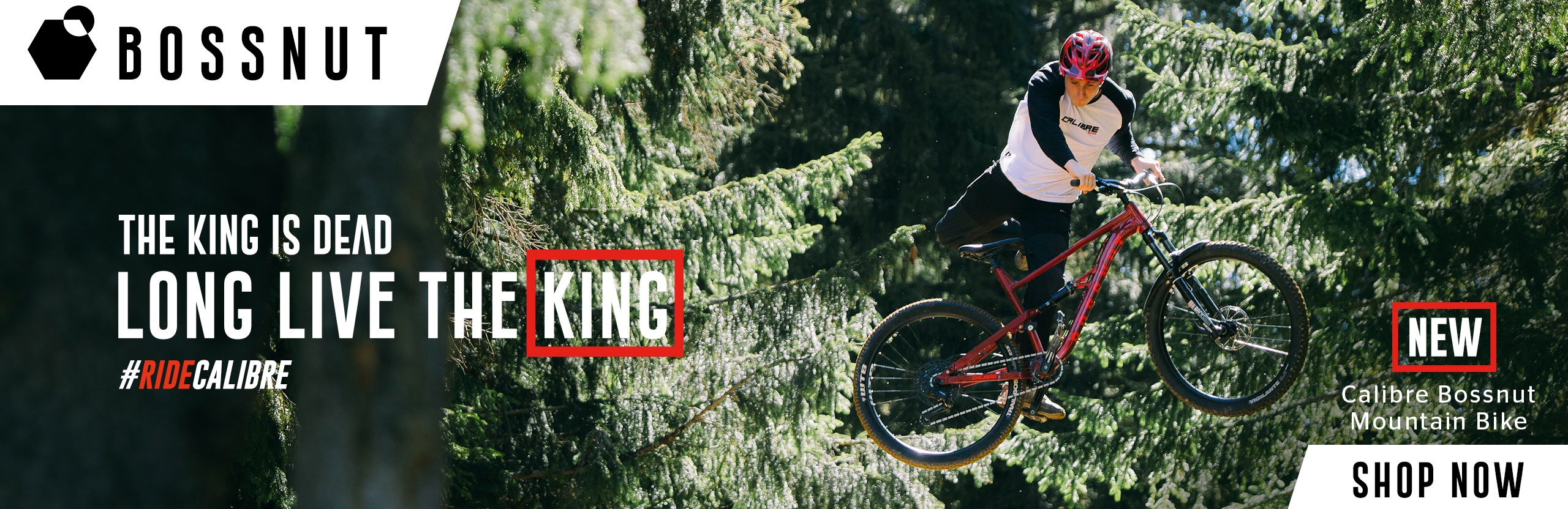 Shop the New Calibre Bossnut